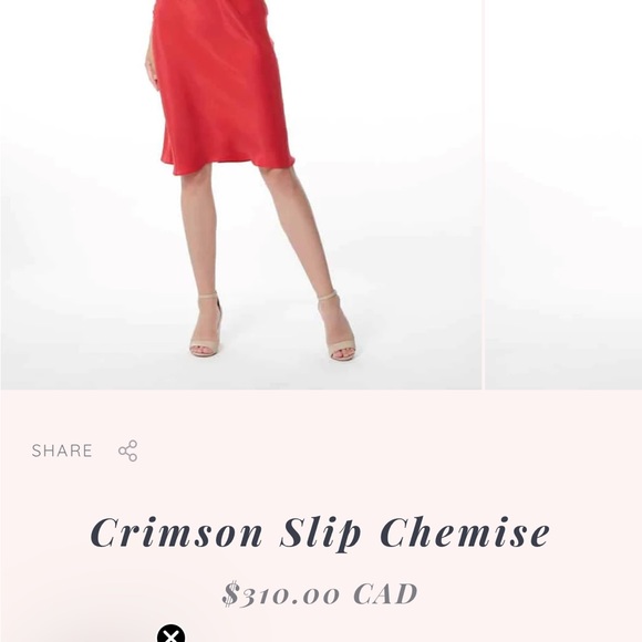 Christine Lingerie Slip Chemise - Picture 5 of 5